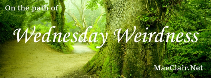 pathway between large, gnarled trees with words &quot;on the path of Wednesday Weirdness&quot; superimposed over image